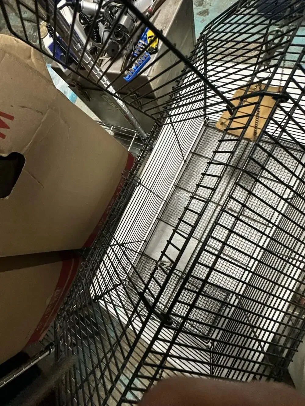 Small Animal Wire Cage with Hanging Platform 19x10x12